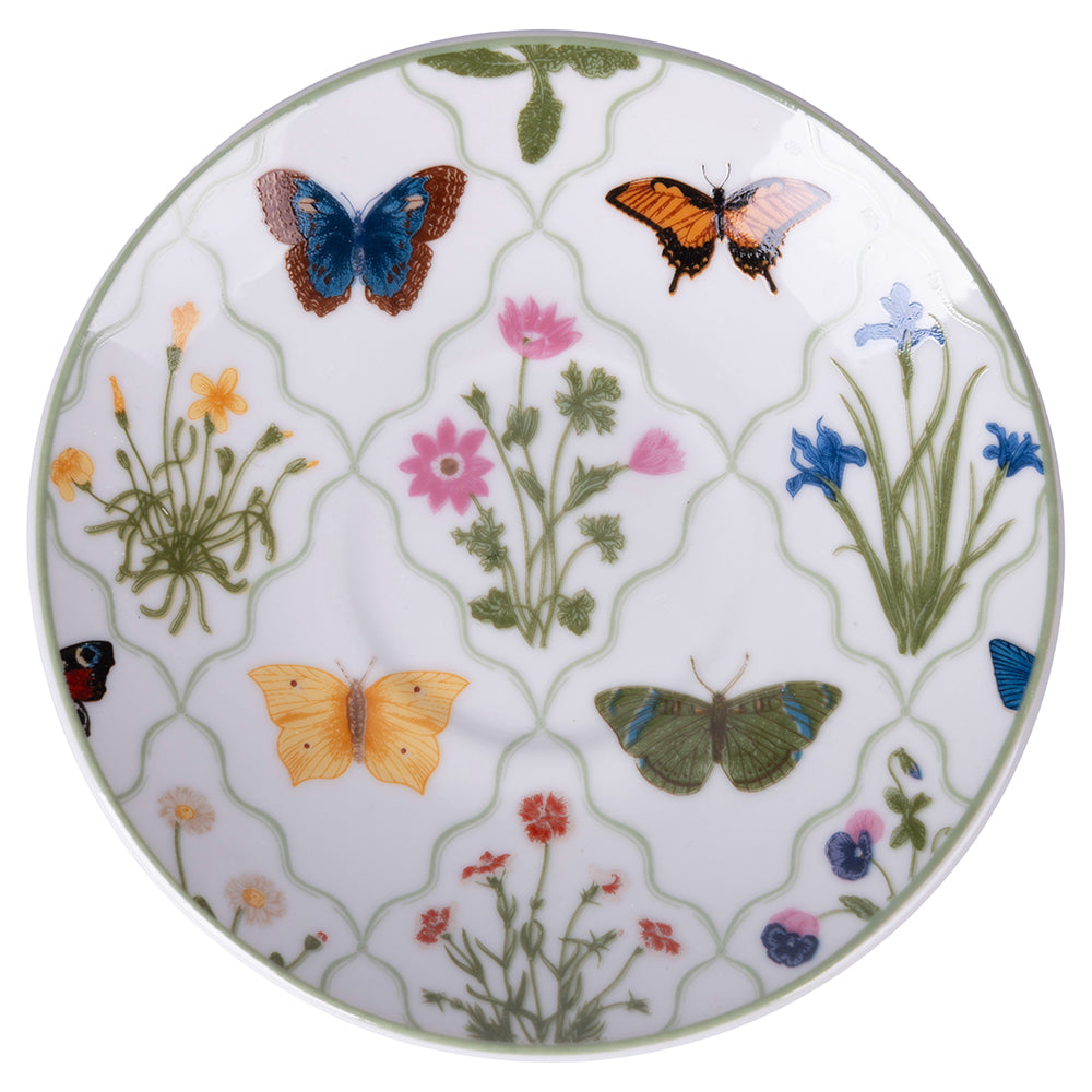 BOTANIST SET 6 TAZZINE 90ML