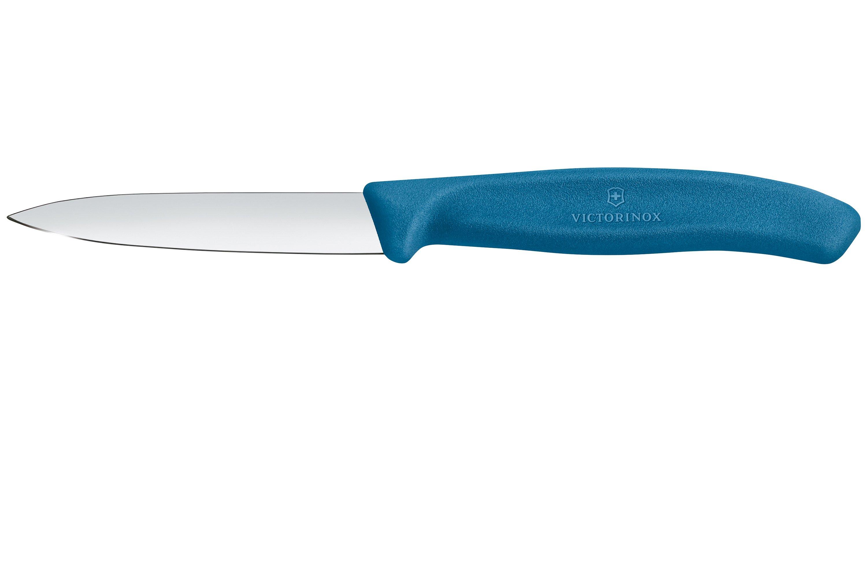 Spelucchino manico blu- swiss classic