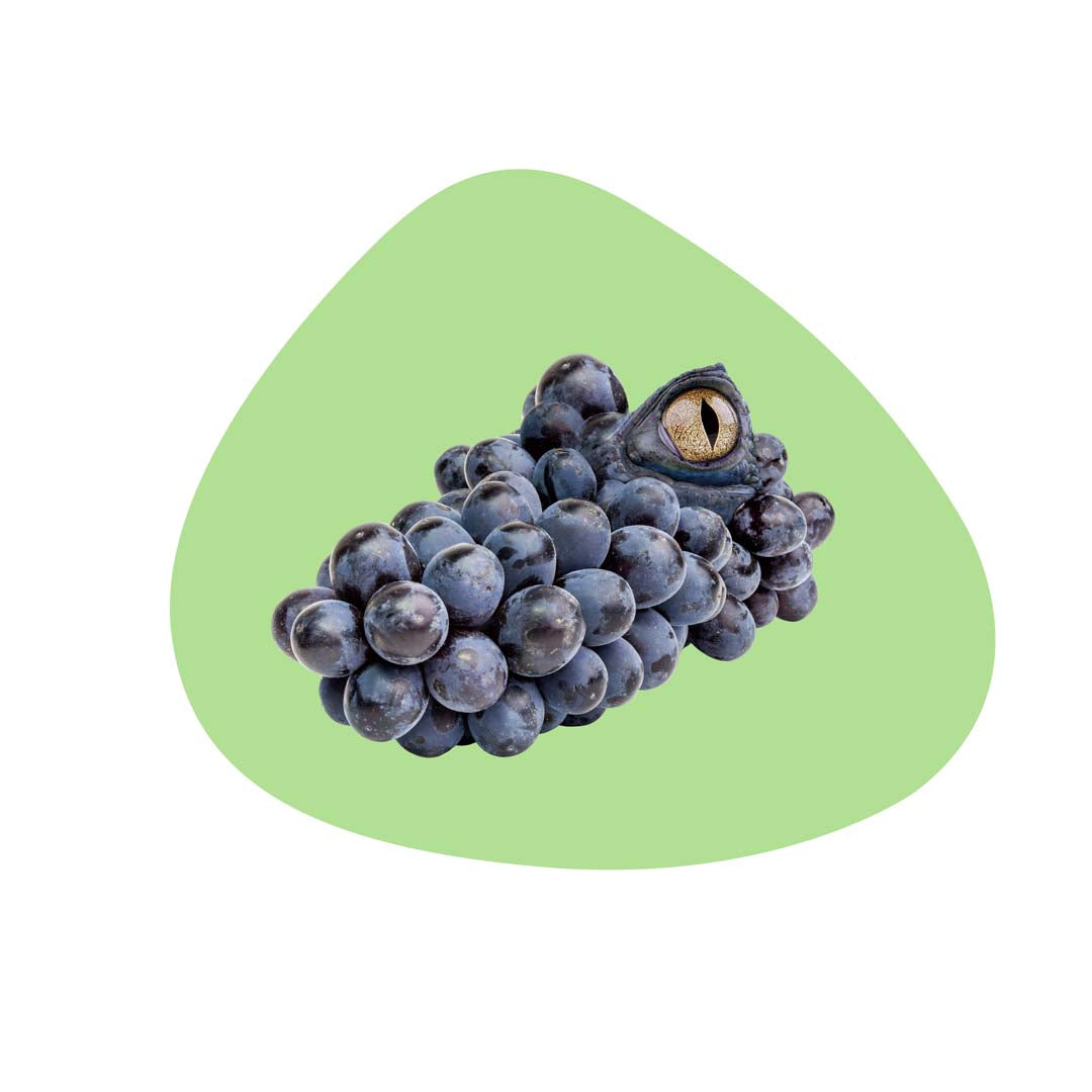 Tovaglietta DOUBLE-FACE - PVC / Alligatore