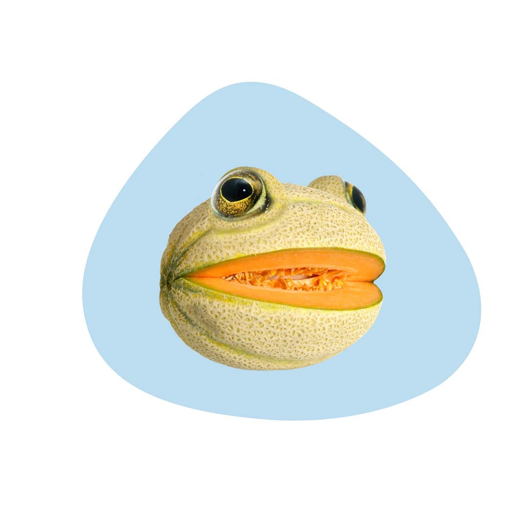 Tovaglietta DOUBLE-FACE - PVC / Rana