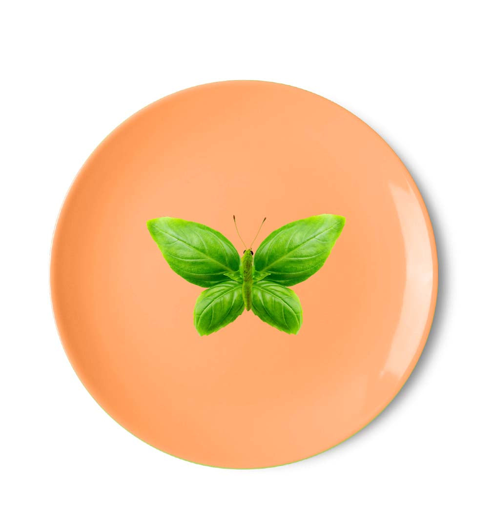 Piatto pizza Porcellana / 30,5cm - Decoro Farfalla