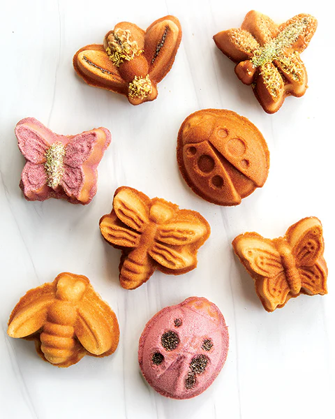 Stampo Backyard Bugs