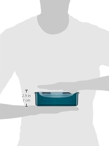 Contenit. Termico + 3 Frigo Box 800+800+1000 ml