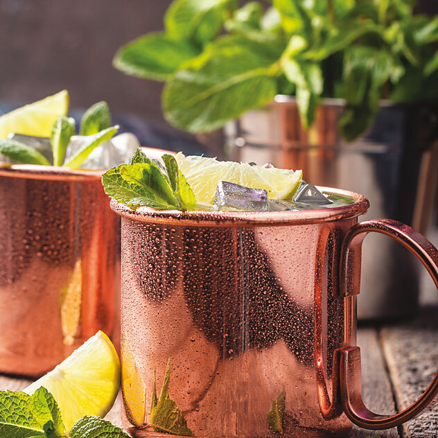Paderno Tazza Moscow Mule Lt 0,5 - 41463-01