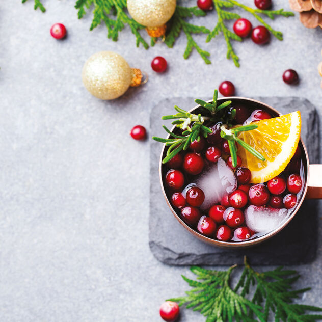 Paderno Tazza Moscow Mule Lt 0,5 - 41463-01