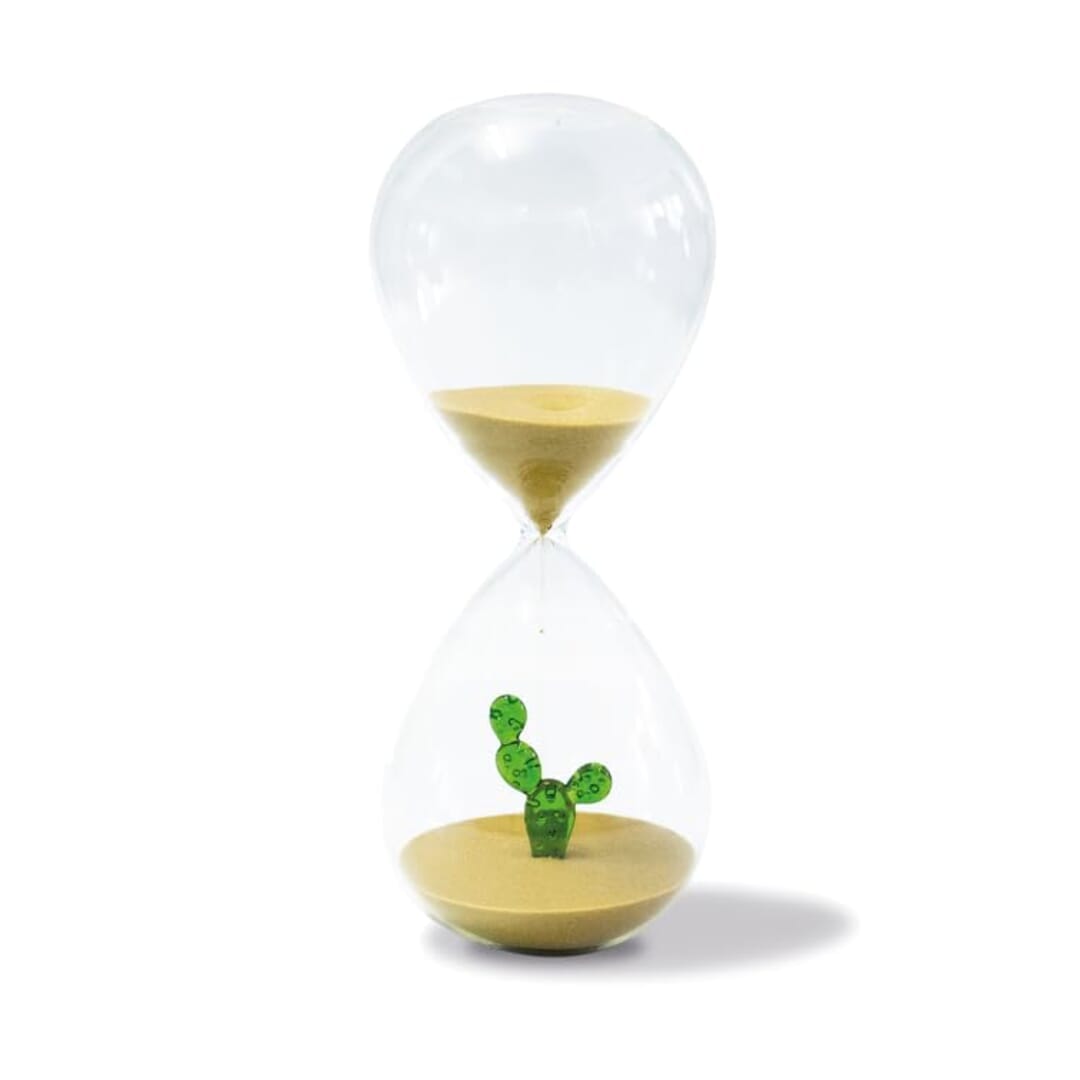 Wd Lifestyle Caraffa In Vetro Borosilicato Decorazione Cactus