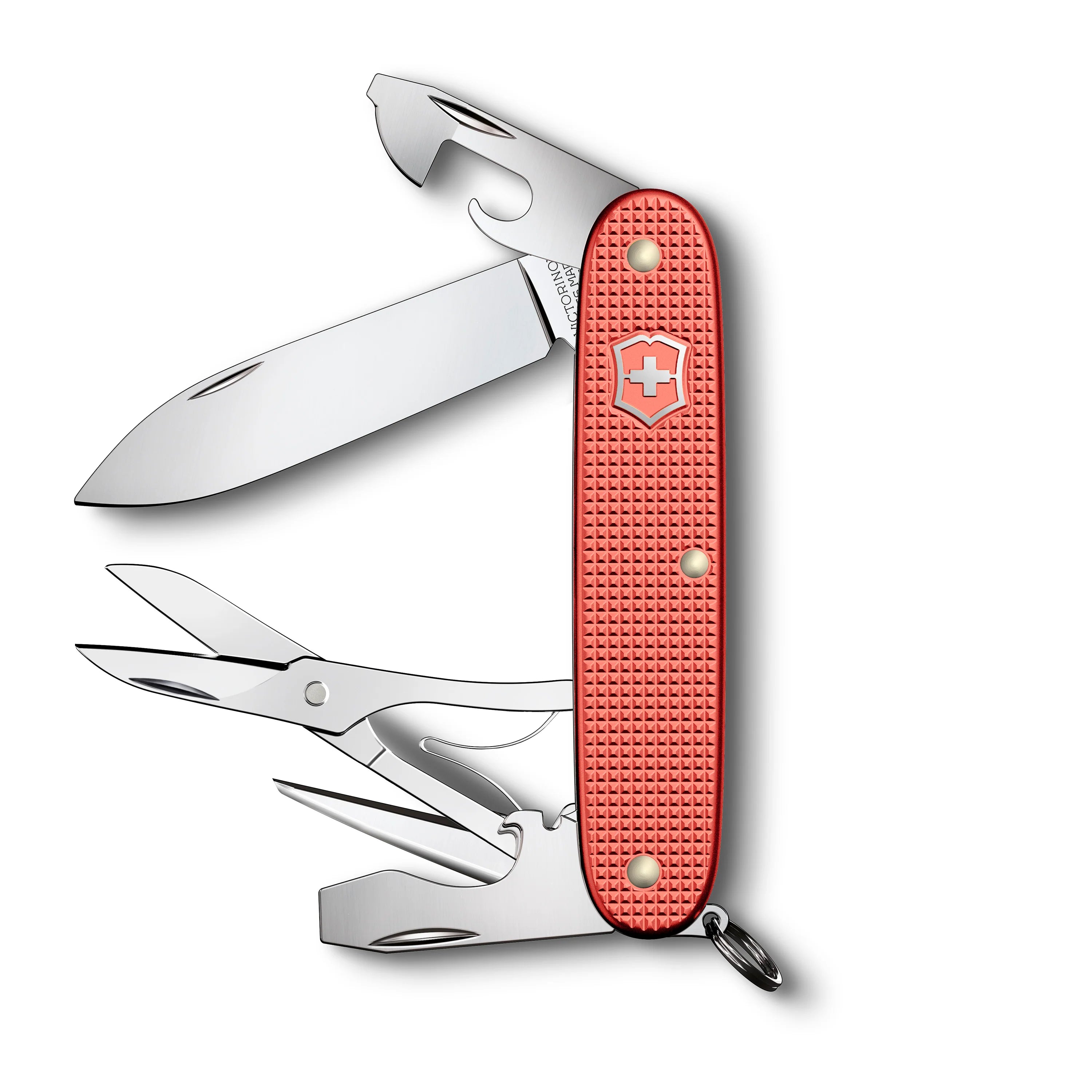 Pioneer X Alox LE 2025