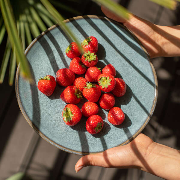 Lave Piatto da dessert/ colazione / 1 PZ