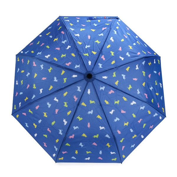 Ombrello Meowmbrella azzurro