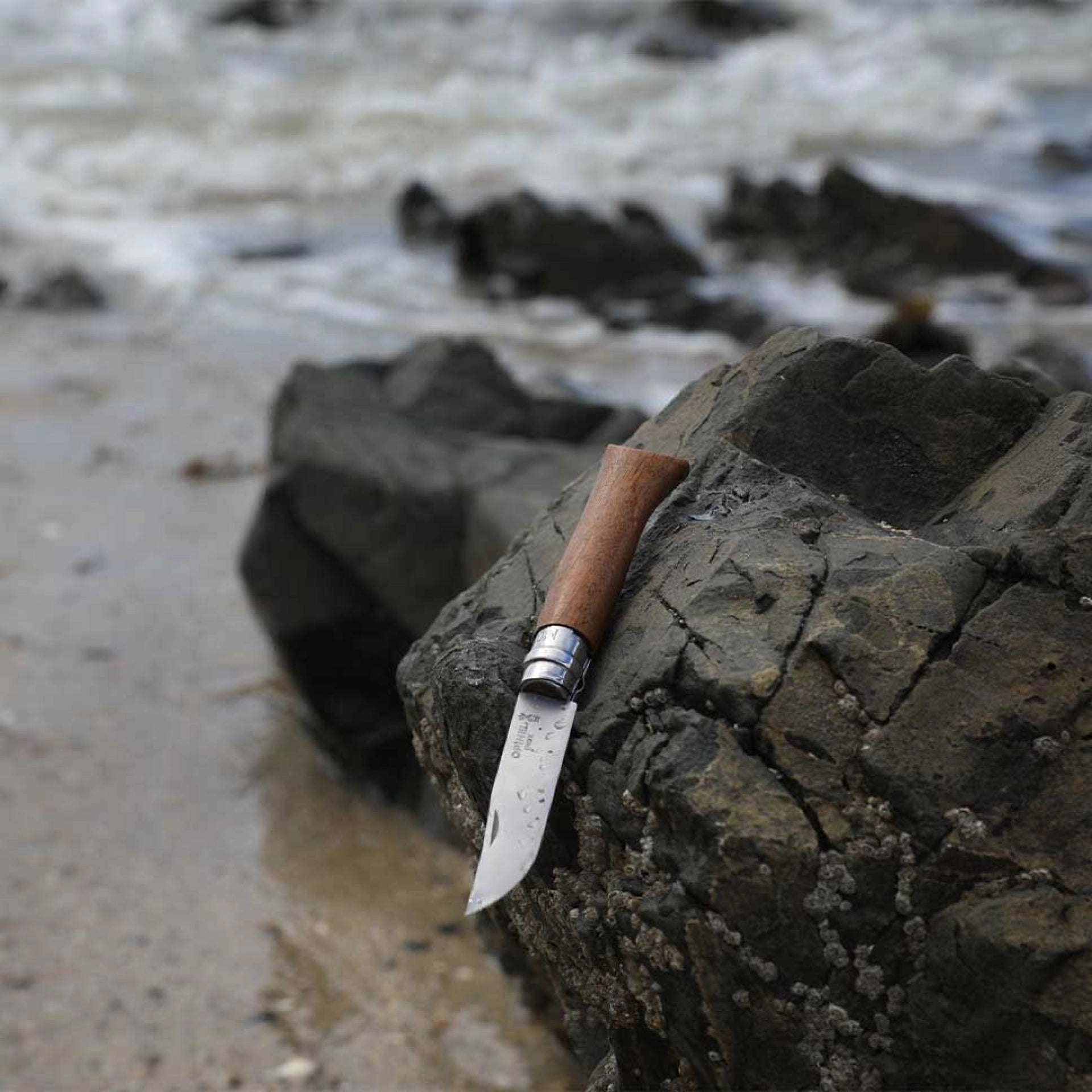 Coltello Unisex Tascabile - N°08 Noce