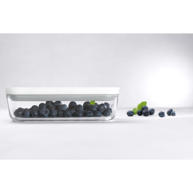 Fresh & Save Contenitore sottovuoto S, vetro, grigio