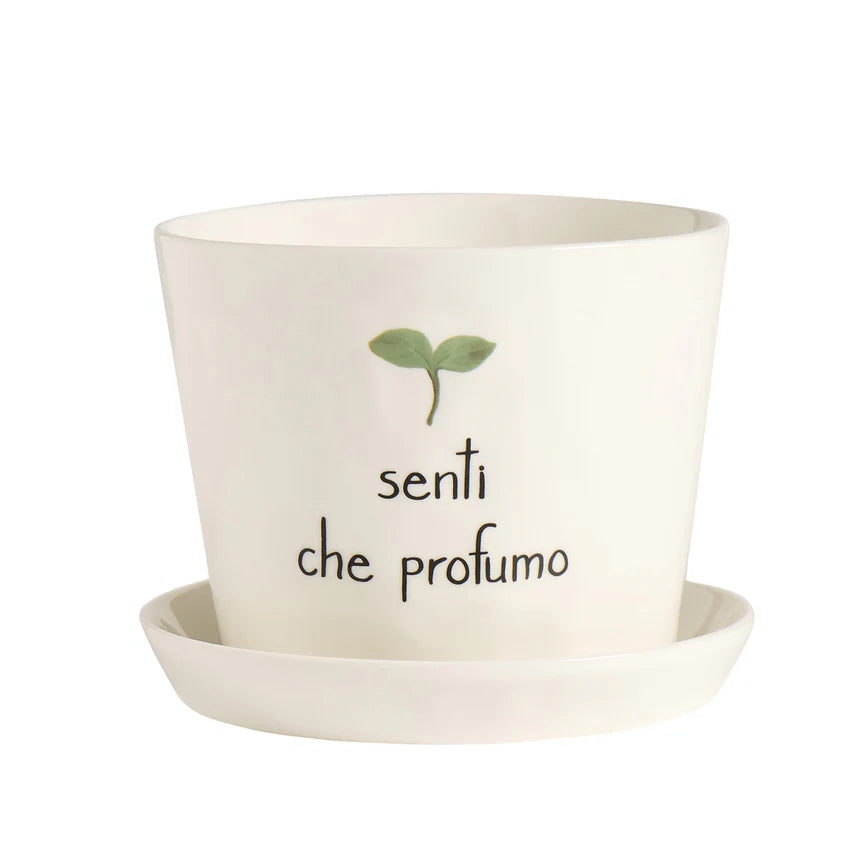 Vaso Senti che profumo, con sottovaso