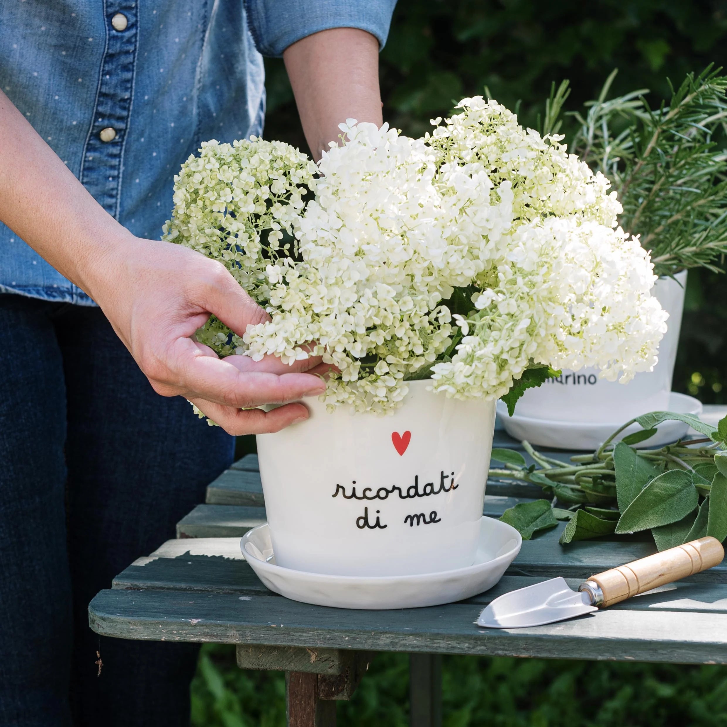 Vaso Ricordati di me, con sottovaso