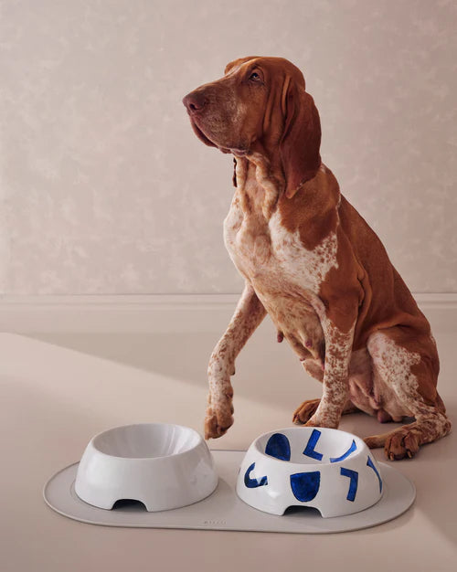 Itsumo pet Yunoki ware  Ciotola per cani