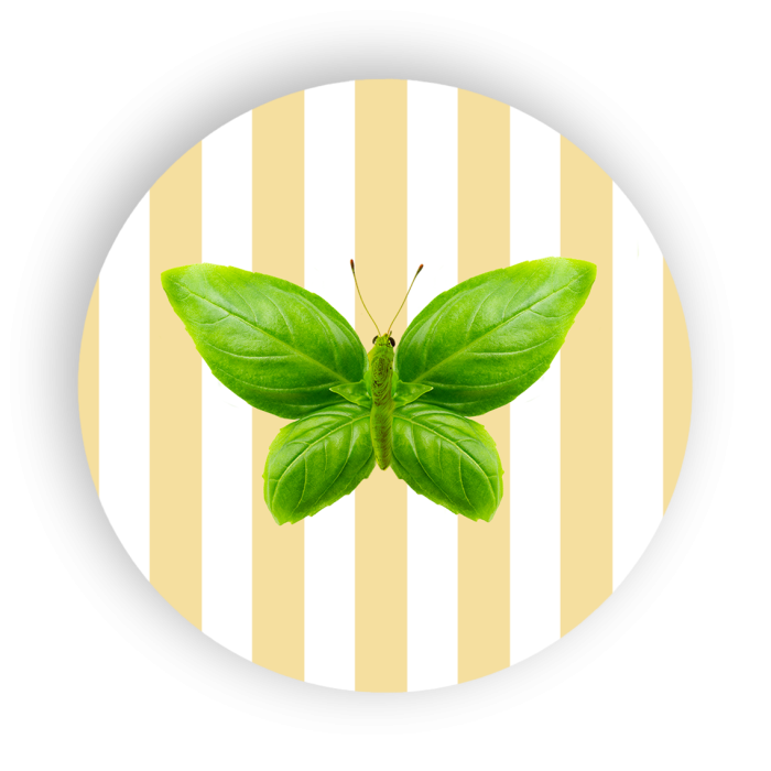 Sottopentola in ceramica Ø 18 DECORO FARFALLA