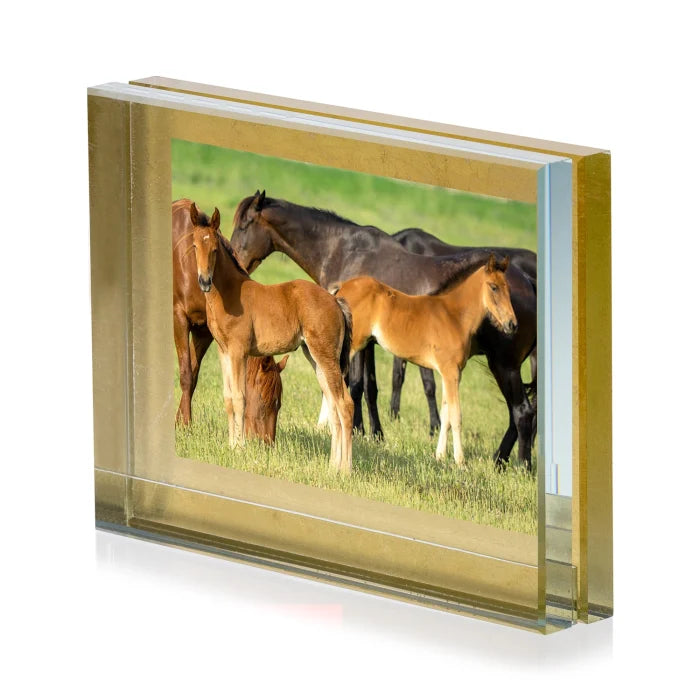 I Ricordi cornice decoro foglia oro 129 cm