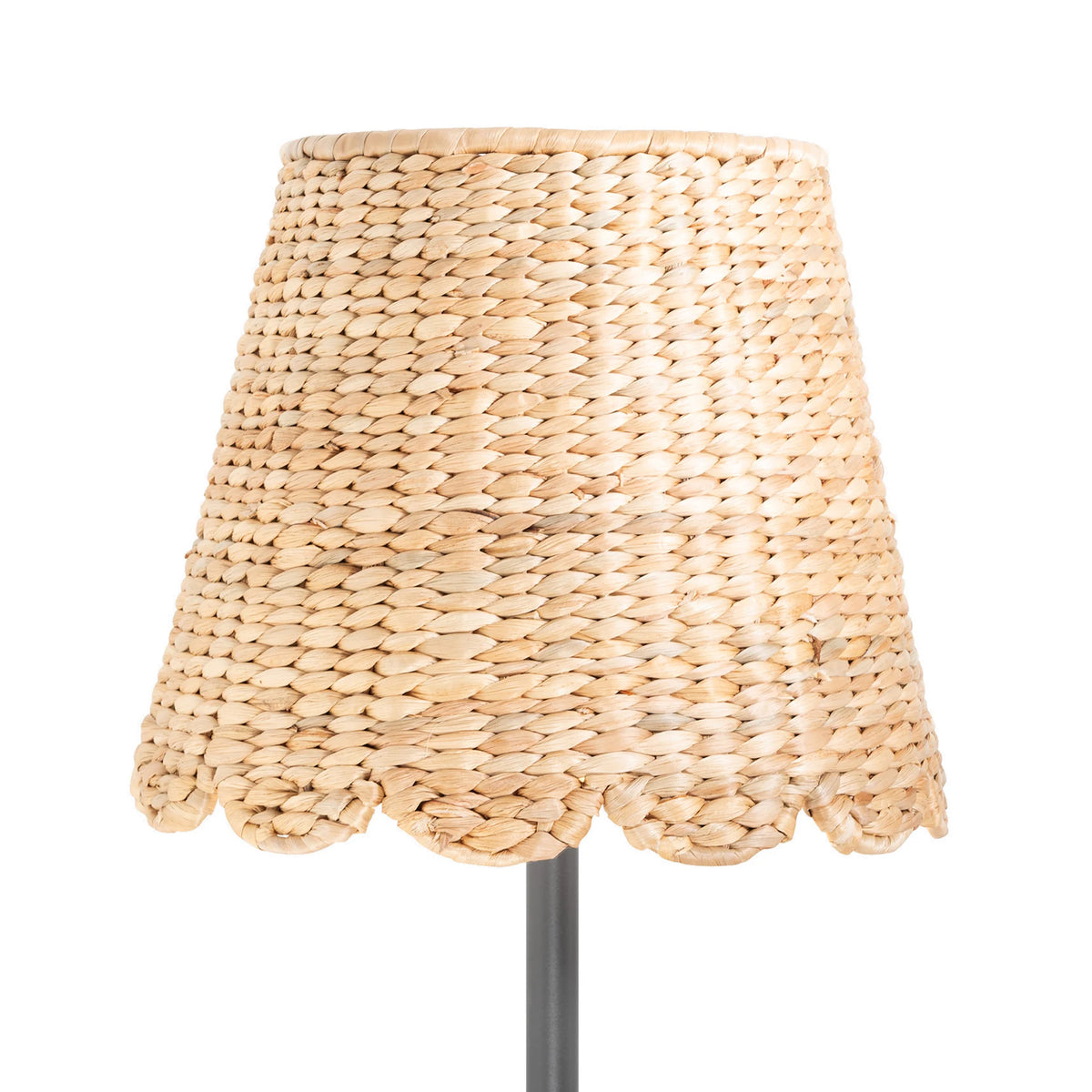 ZAFFERANO - Poldina cover giacinto d'acqua x Poldina XXL - LD035502