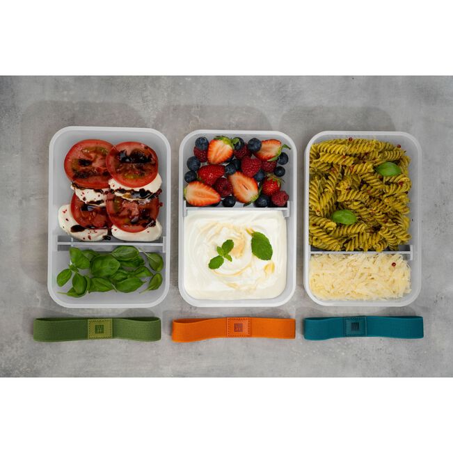 Fresh & Save Set portavivande sottovuoto, L piatto / 6-pz., plastica