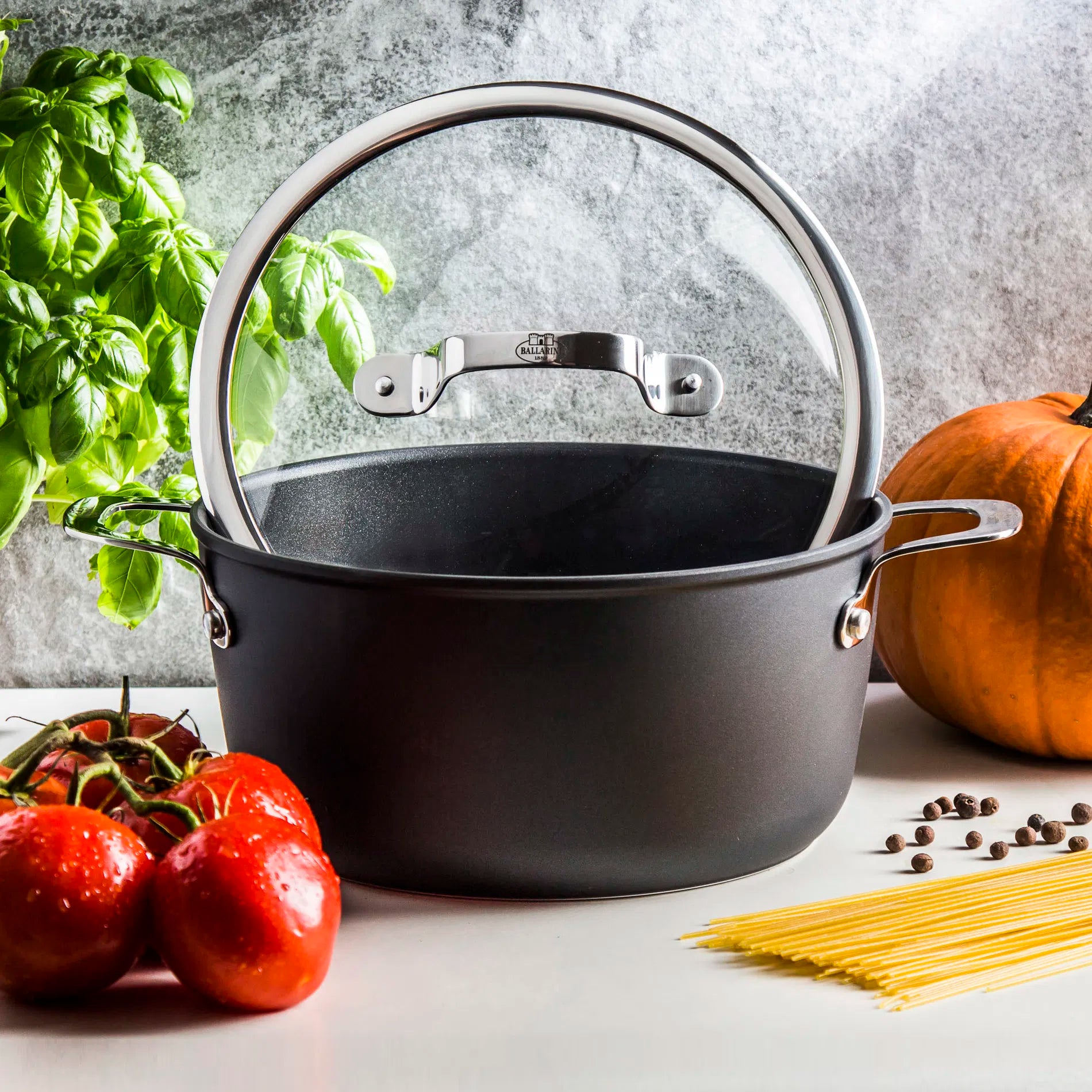 Cooking Pot Ballarini Alba With Lid Titanium