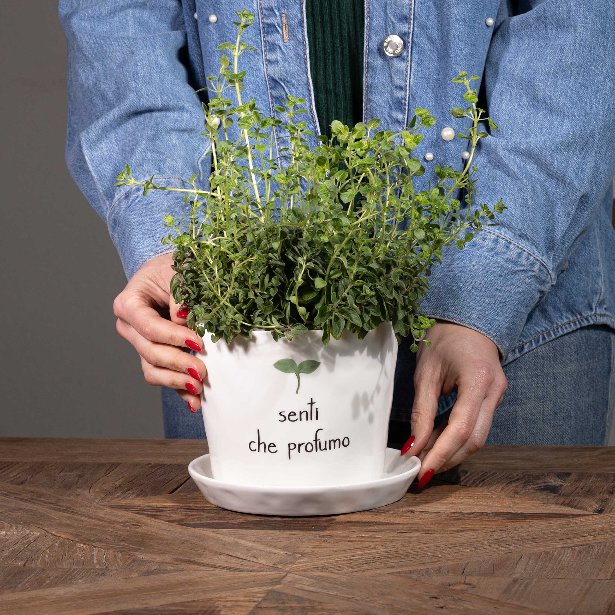 Vaso " Senti che profumo " - con sottovaso
