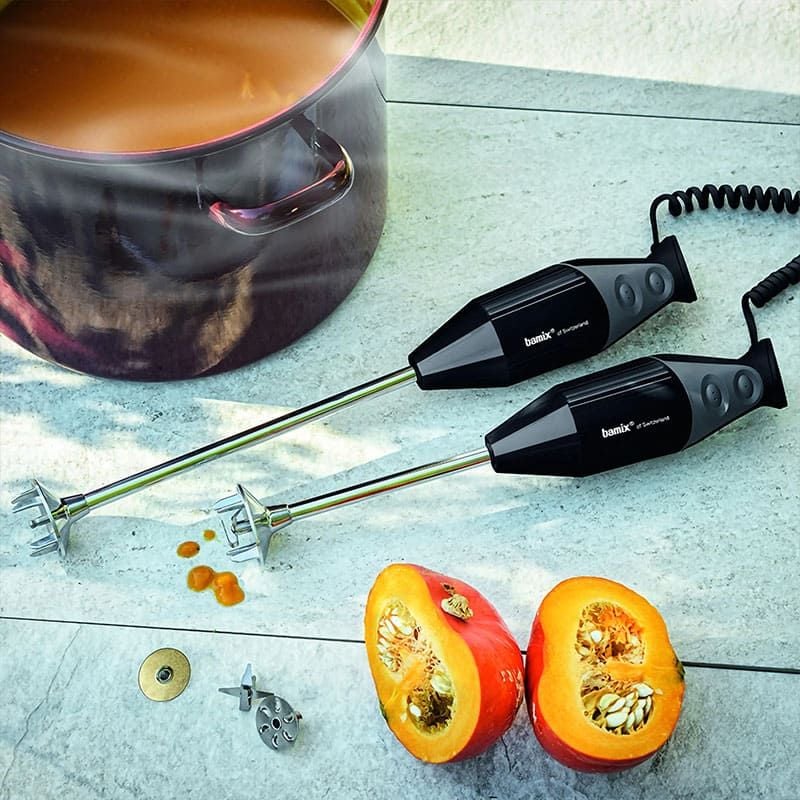 Mixer ad immersione professionale Gastro 350 Nero